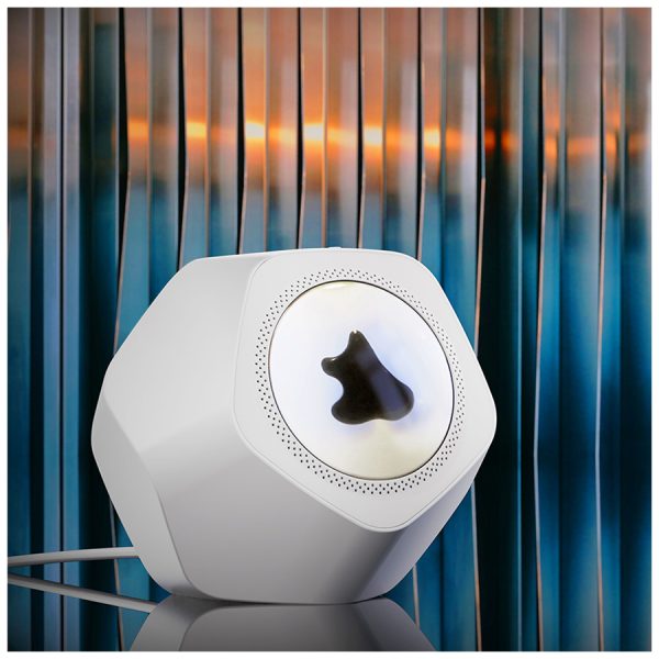 Bawo FM0213 Compact Bluetooth Speaker - Image 4