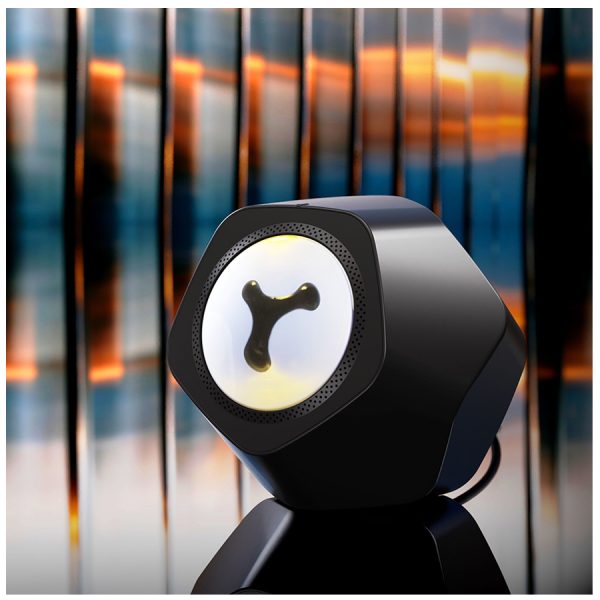 Bawo FM0213 Compact Bluetooth Speaker